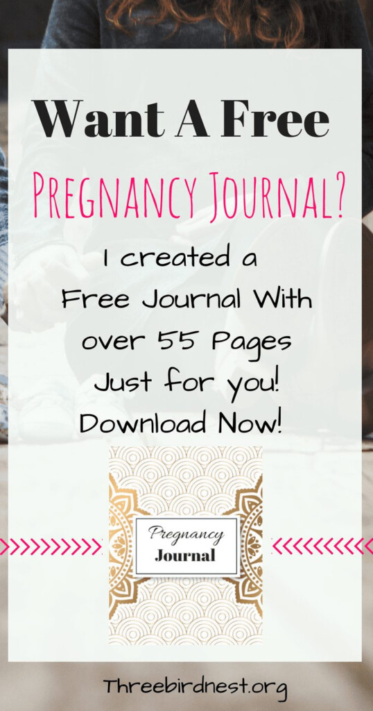 A 55 Page FREE Pregnancy Journal For You Instant Download This 